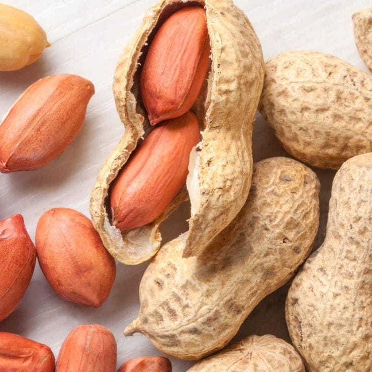 Ground Nuts